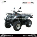 200cc UTV с воздушным охлаждением 250cc ATV Quad Bike с водяным охлаждением Big Farm ATV